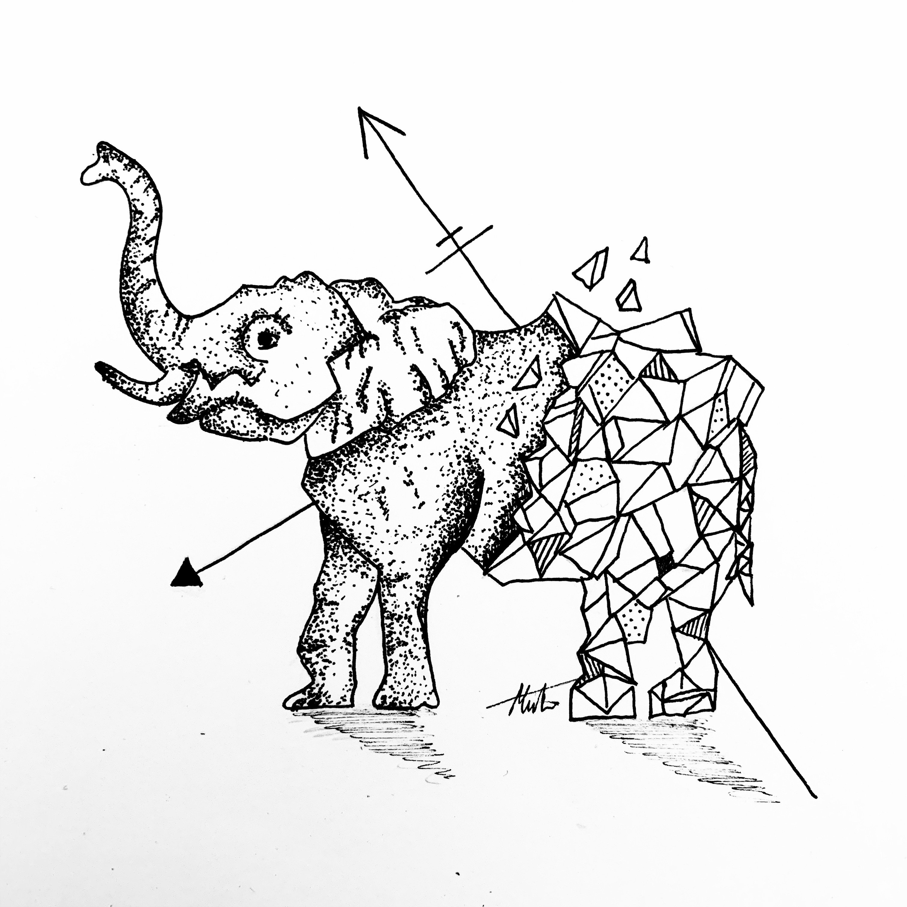 Elephant Art Drawing