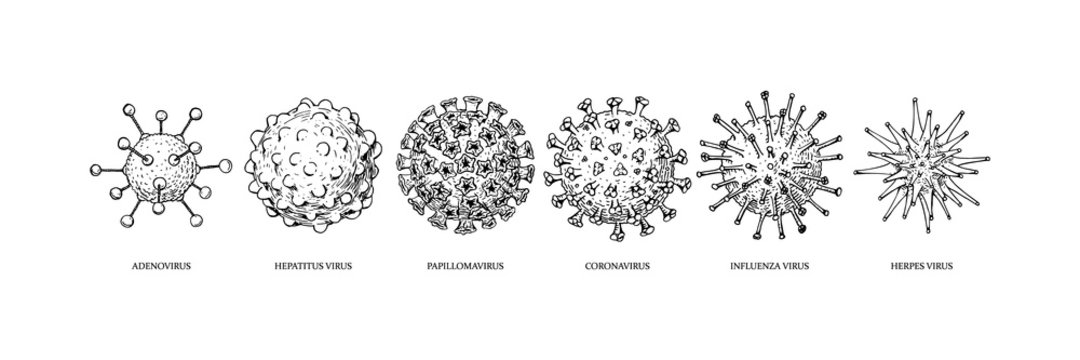 Bacteria Drawing Image