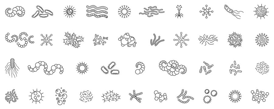 Bacteria Drawing Photo