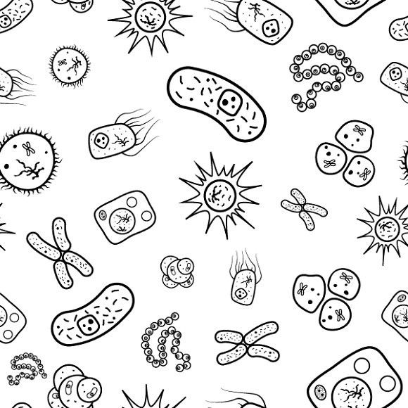 Bacteria Drawing