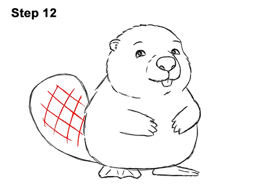 Beaver Drawing Beautiful Image