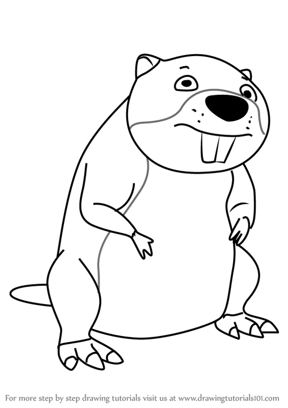 Beaver Drawing Photo