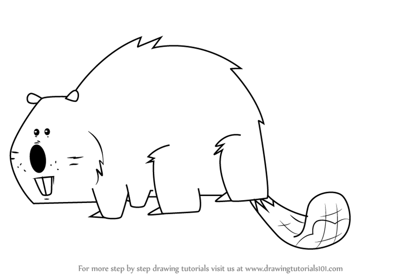 Beaver Drawing