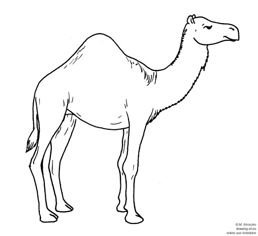 Premium AI Image  Pencil drawing camel desert background image Ai  generated art