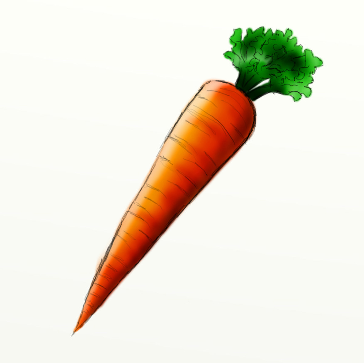 Carrot Art Drawing