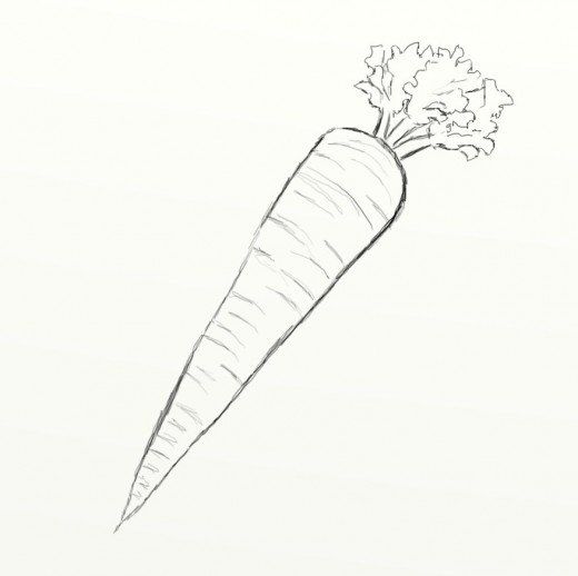 Carrot Drawing Amazing