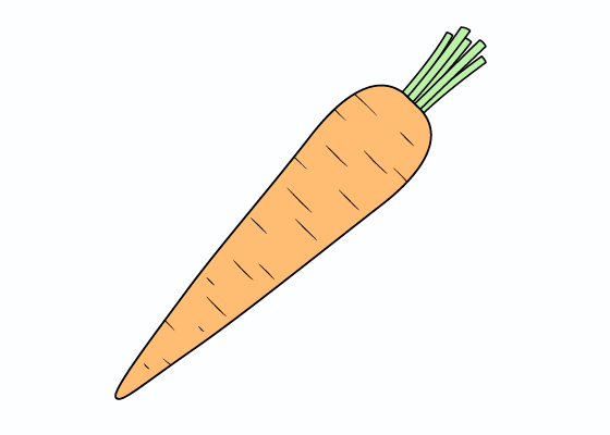 Carrot Drawing Art