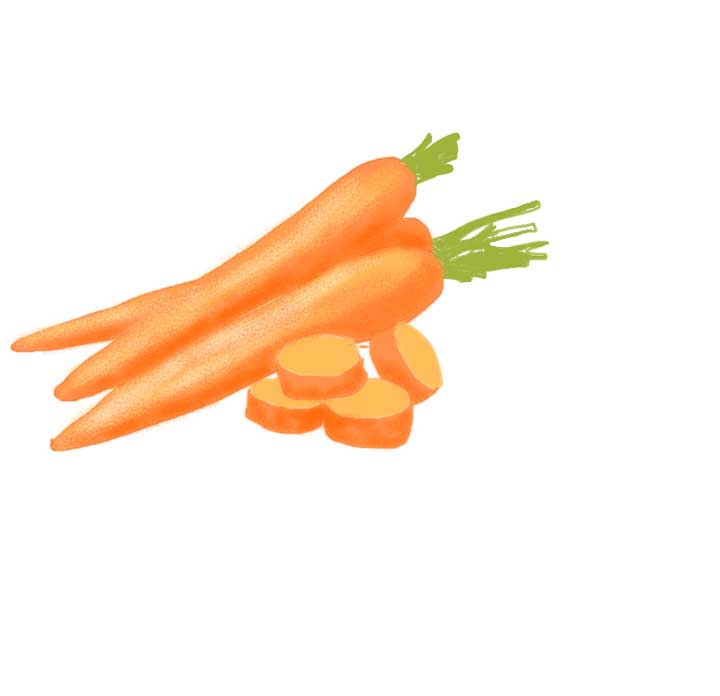 Carrot Drawing Beautiful Art