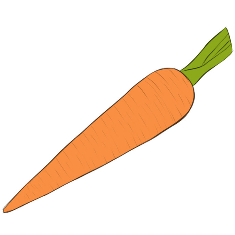 Carrot Drawing Realistic
