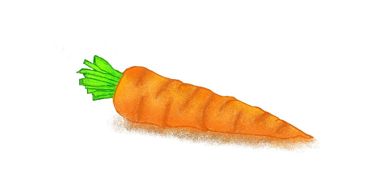 Carrot Drawing Sketch