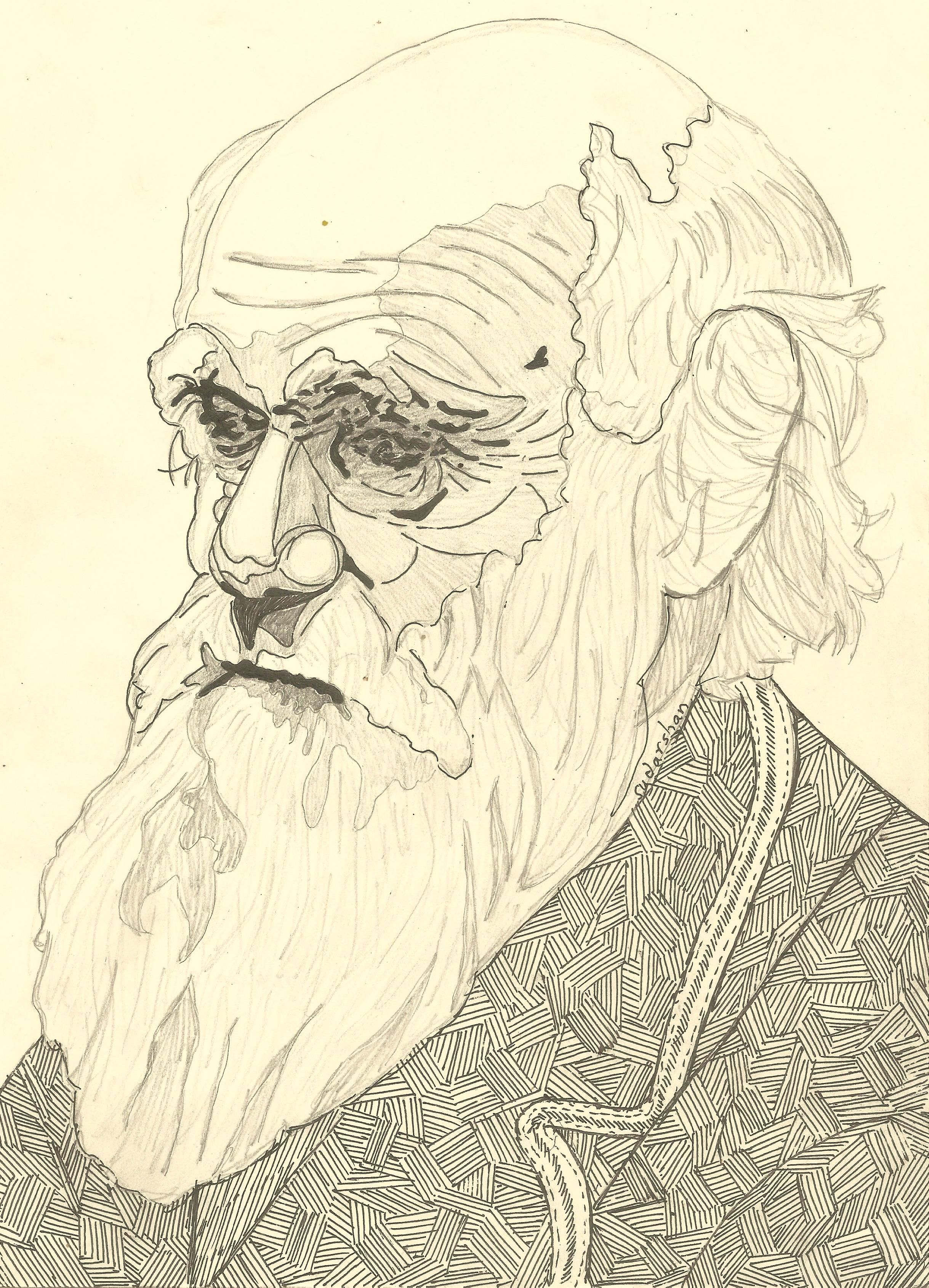 Charles Darwin Drawing Art