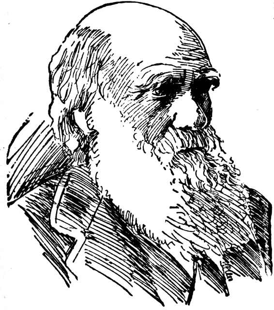 Charles Darwin Drawing Pics