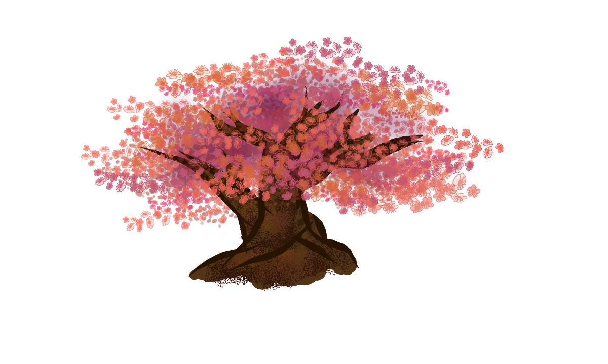 Cherry Blossom Art Drawing