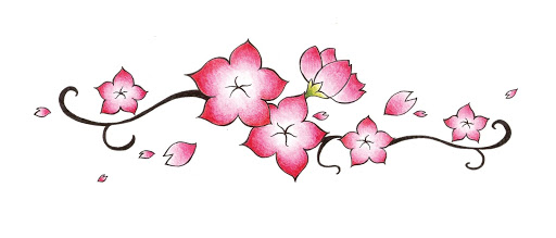 Cherry Blossom Drawing Pictures