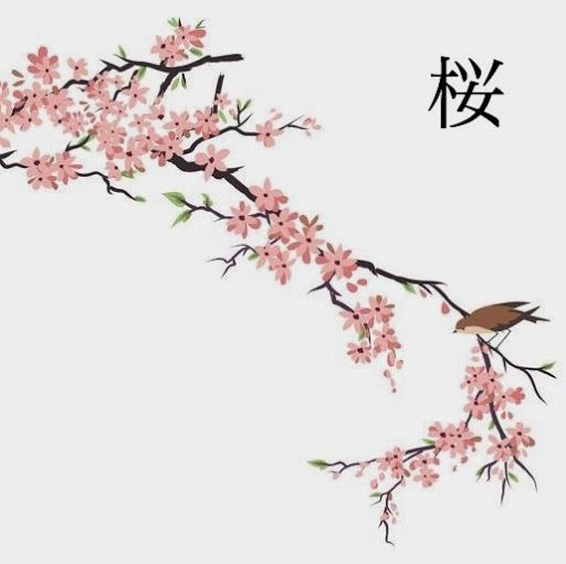 Cherry Blossom Drawing Realistic