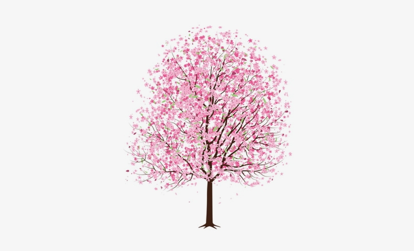 Cherry Blossom Drawing