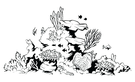 Coral Reef Drawing Sketch
