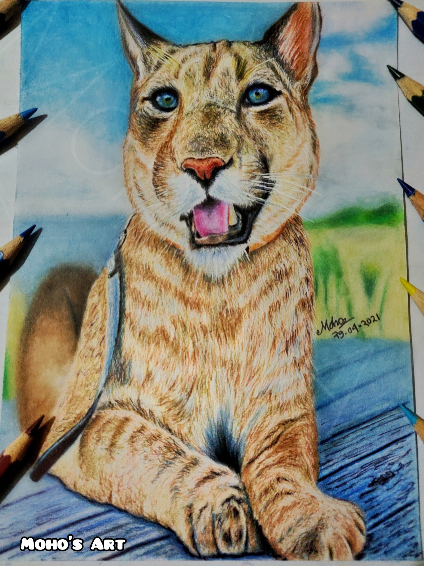 Cougar Puma Messi Drawing