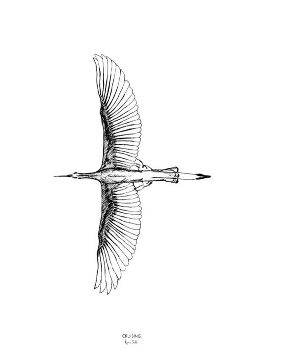 Crane bird Ink and watercolor sketch Stock Photo  Alamy