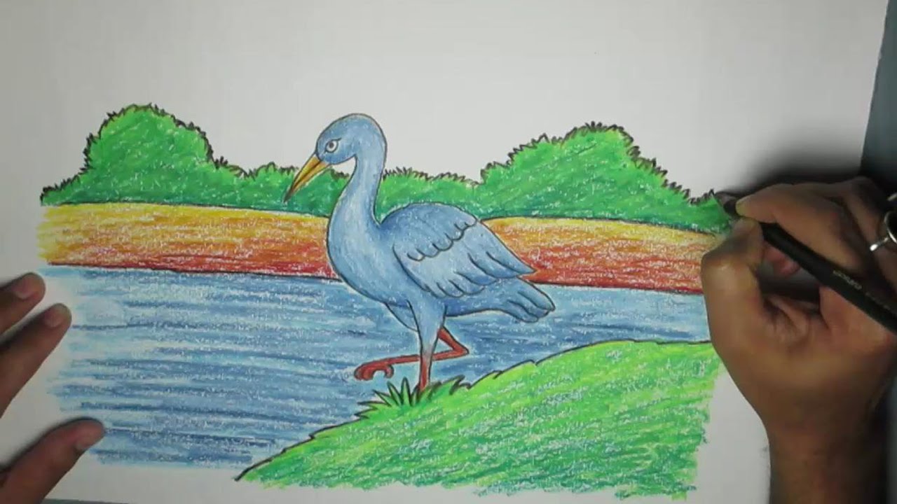 Crane Bird Drawing Beautiful Image