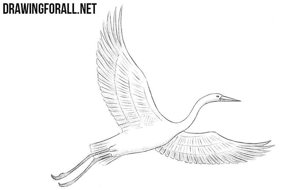 Crane Bird Drawing Best