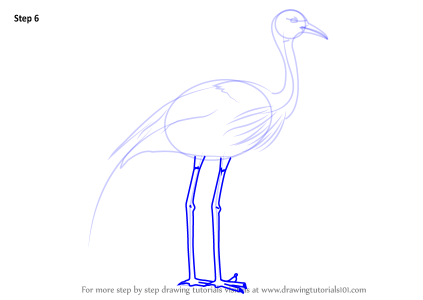 Crane Bird Drawing Pic