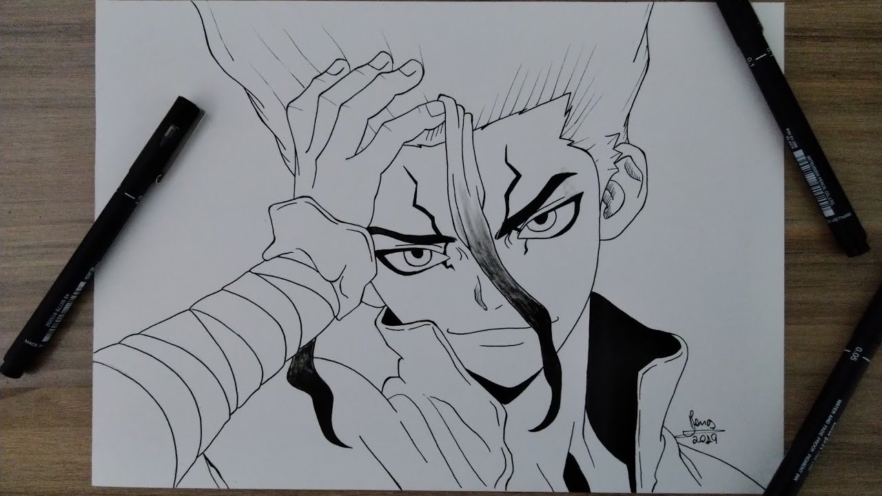 Dr. Stone Drawing Amazing