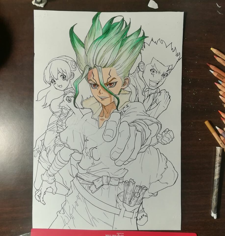 Dr. Stone Drawing Art