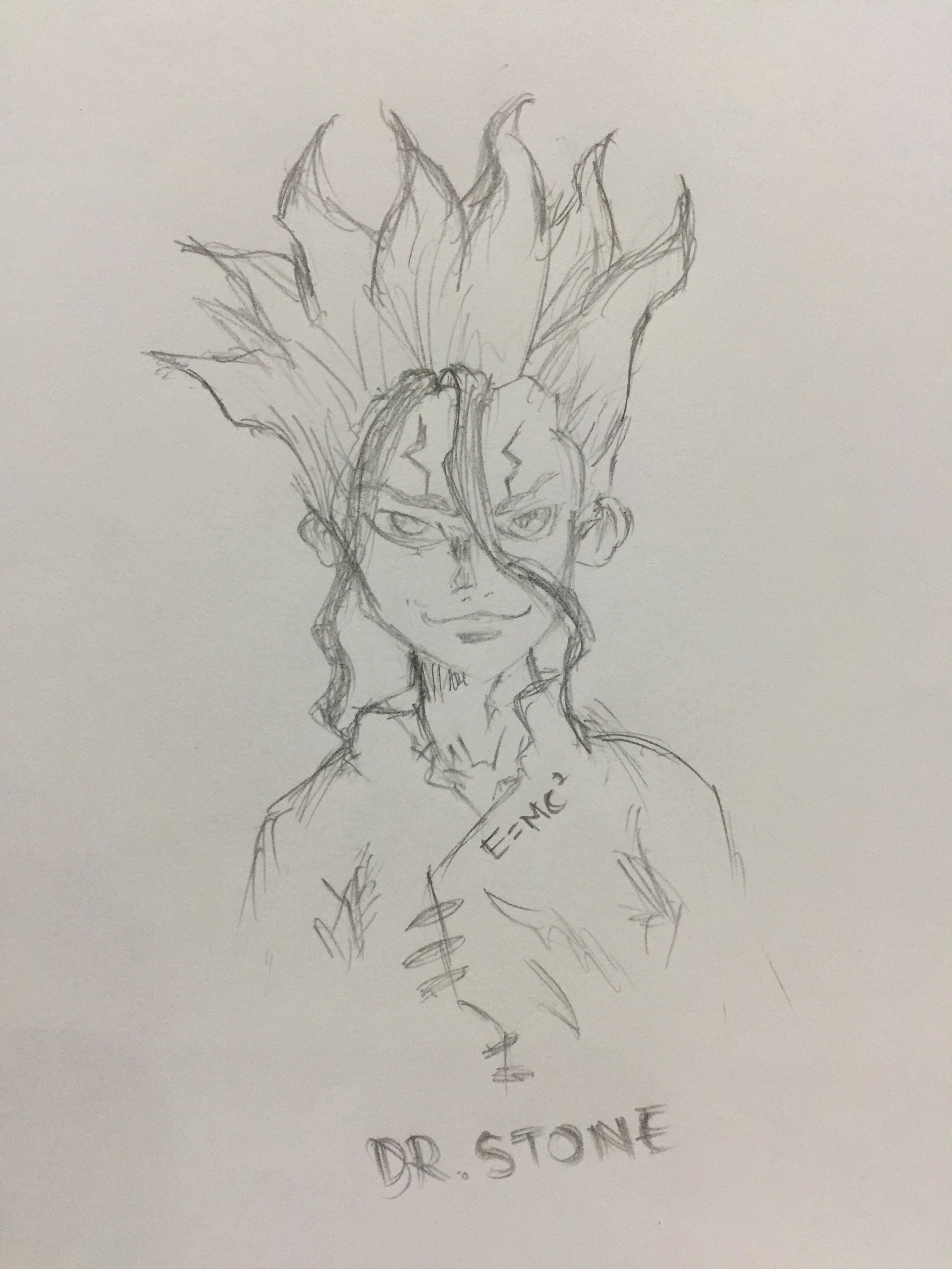 Dr. Stone Drawing Image