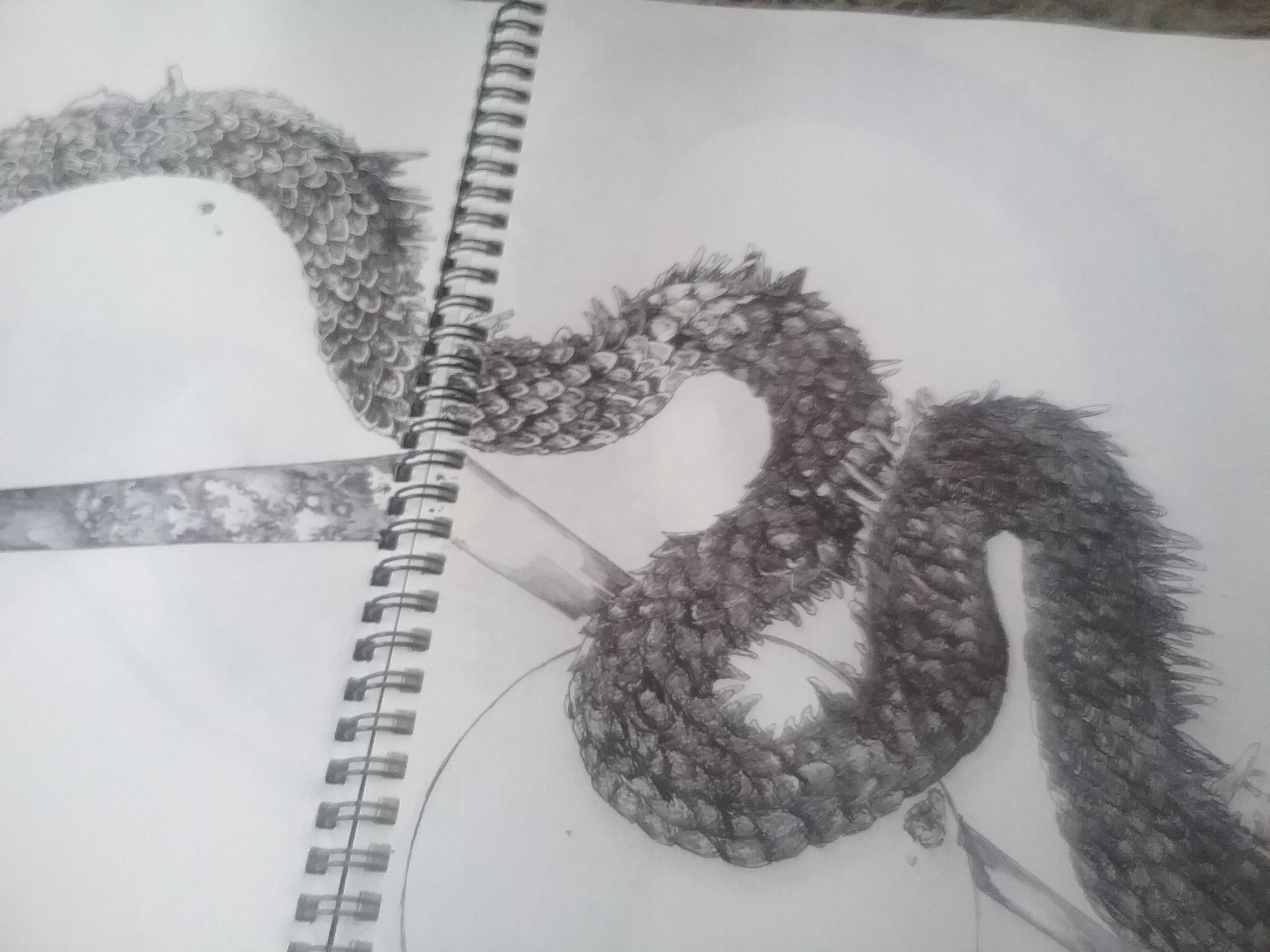 Dragon Monster Drawing Picture