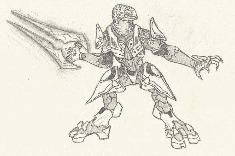 Elite Drawing Sketch