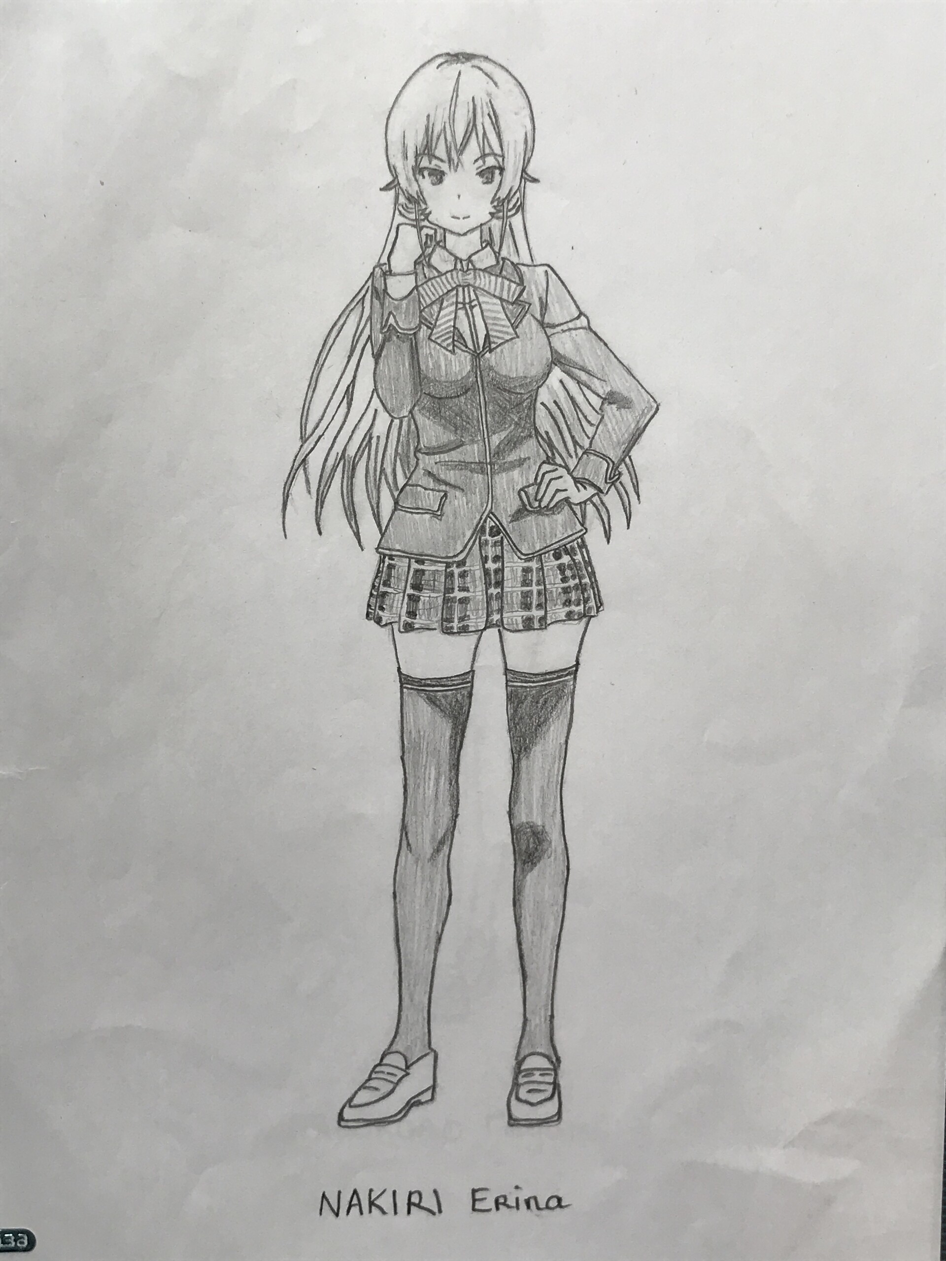 Erina Nakiri Drawing Art