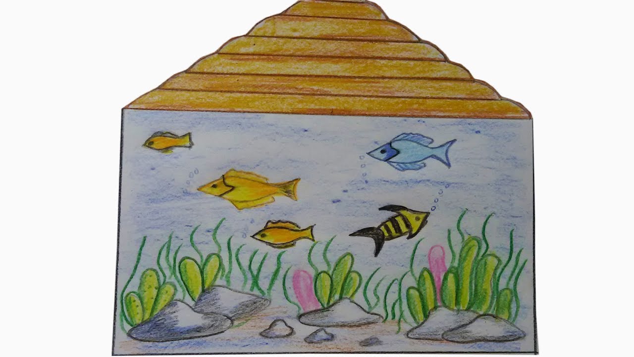 Fish Tank Drawing Amazing