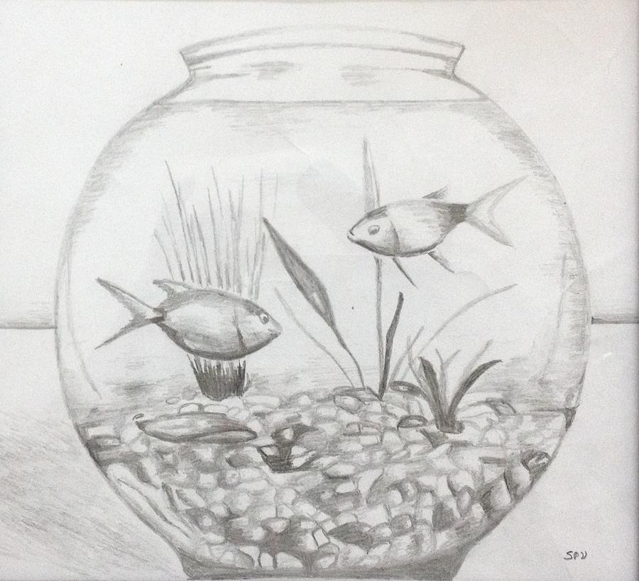 Fish Tank Drawing Art