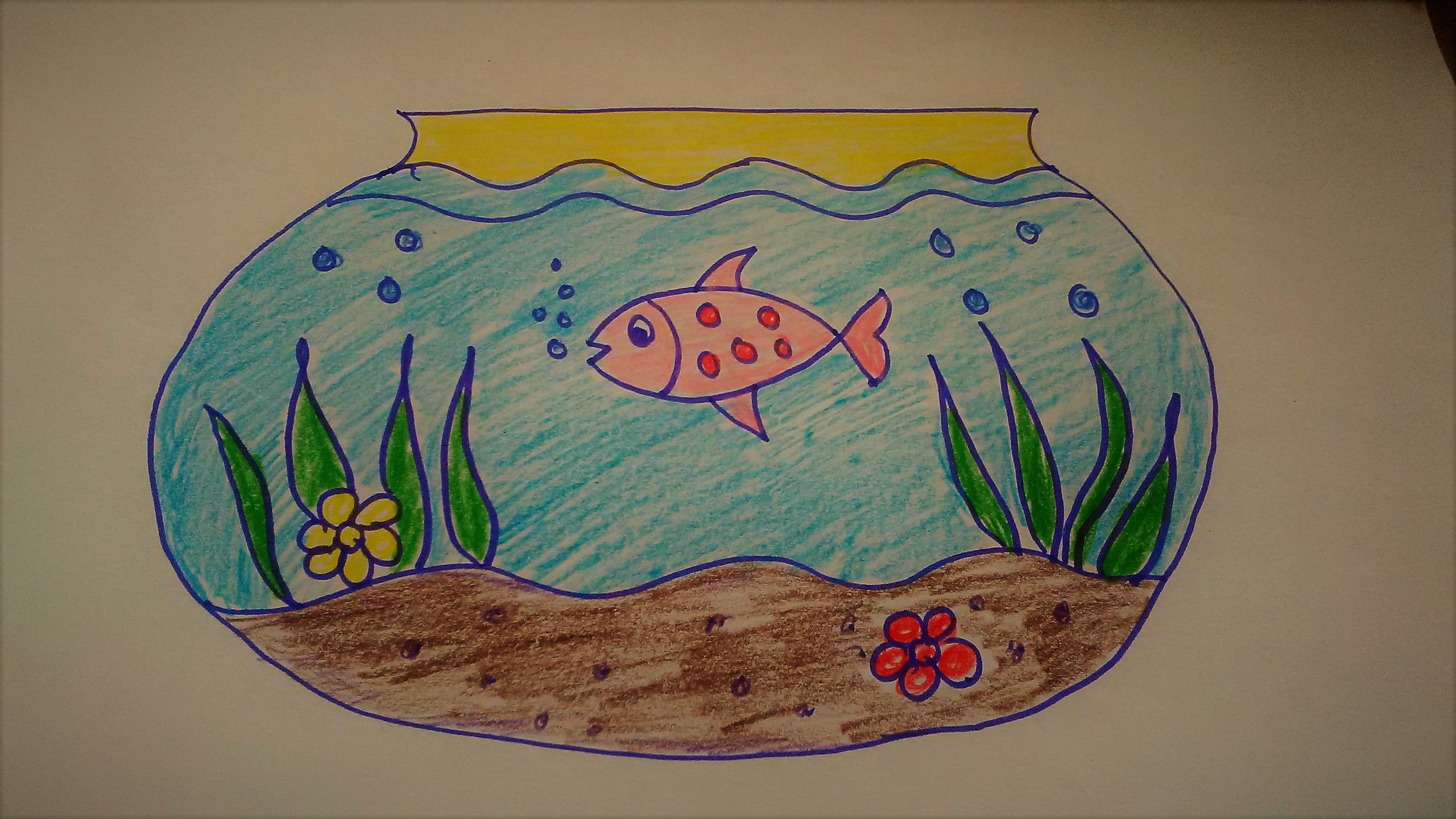 Fish Tank Drawing Photo