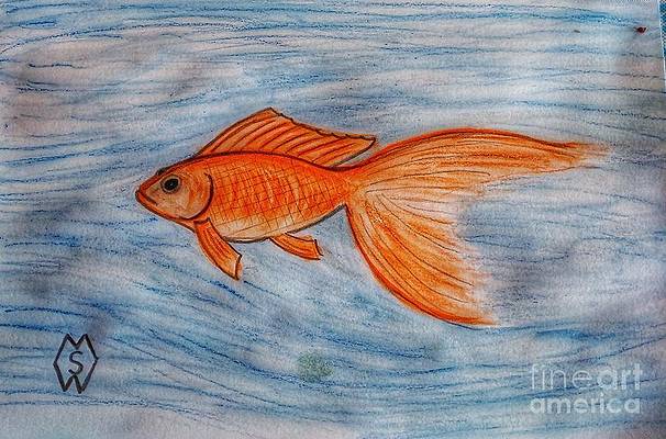 Fish Tank Drawing Pic