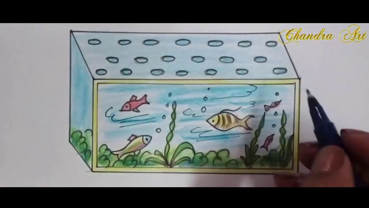 Fish Tank Drawing Realistic