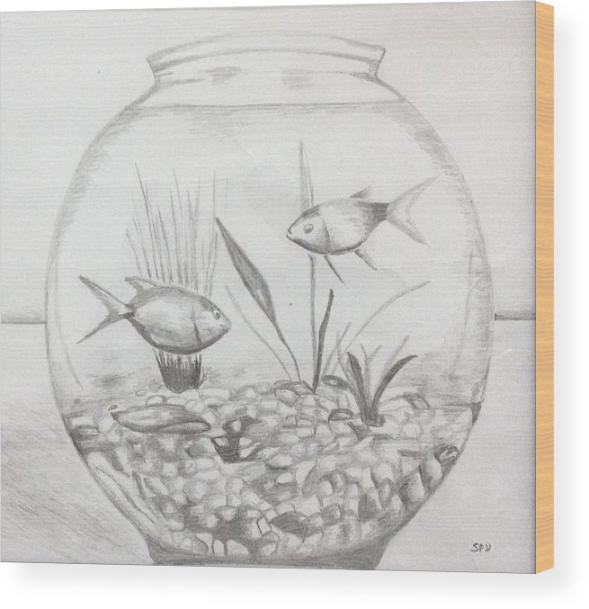Fish Tank Drawing Sketch