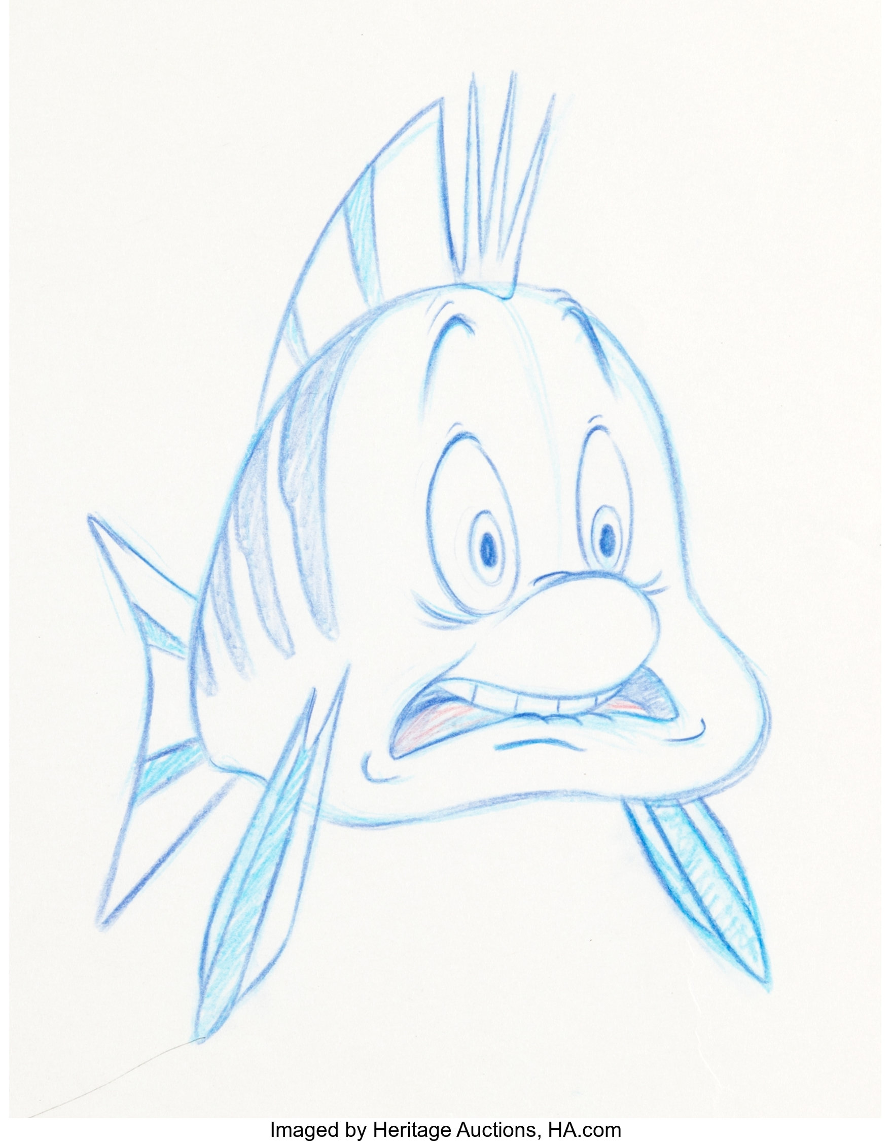 Flounder Fish Drawing Pic