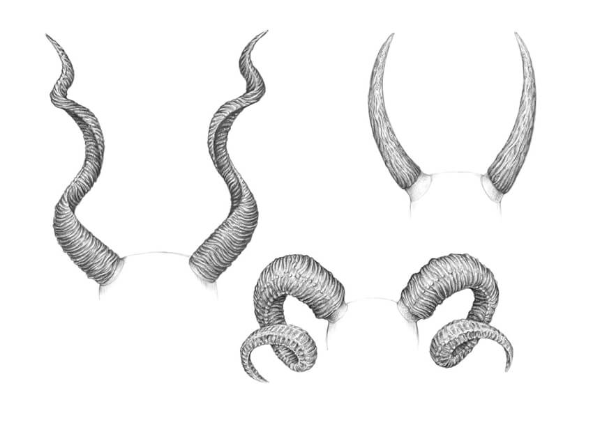 Horn Art Drawing