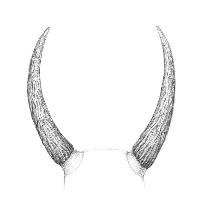 Horn Drawing Images