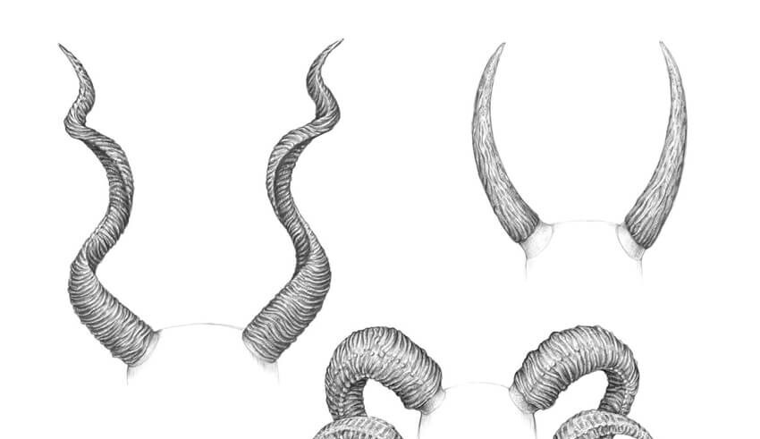 Horn Drawing Realistic