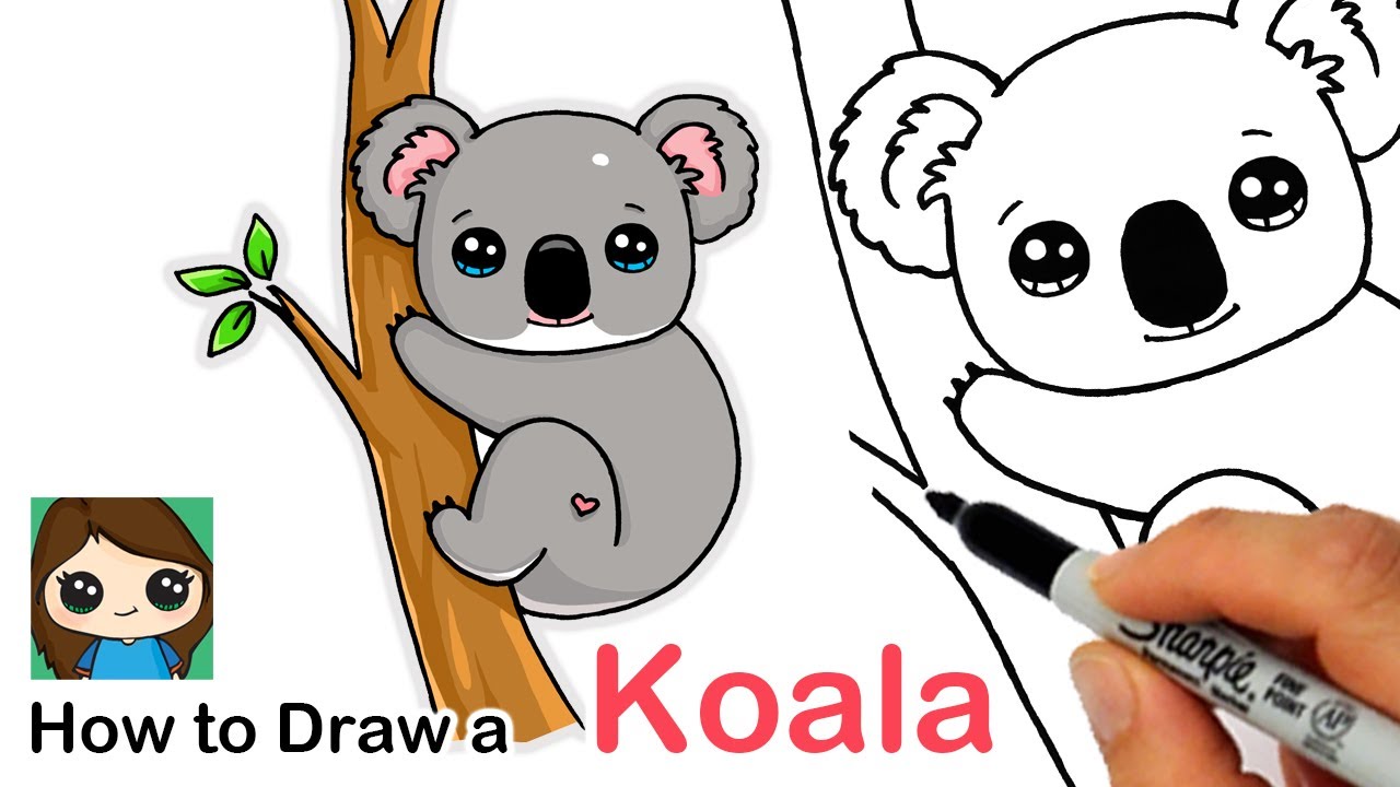 Koala Drawing Best