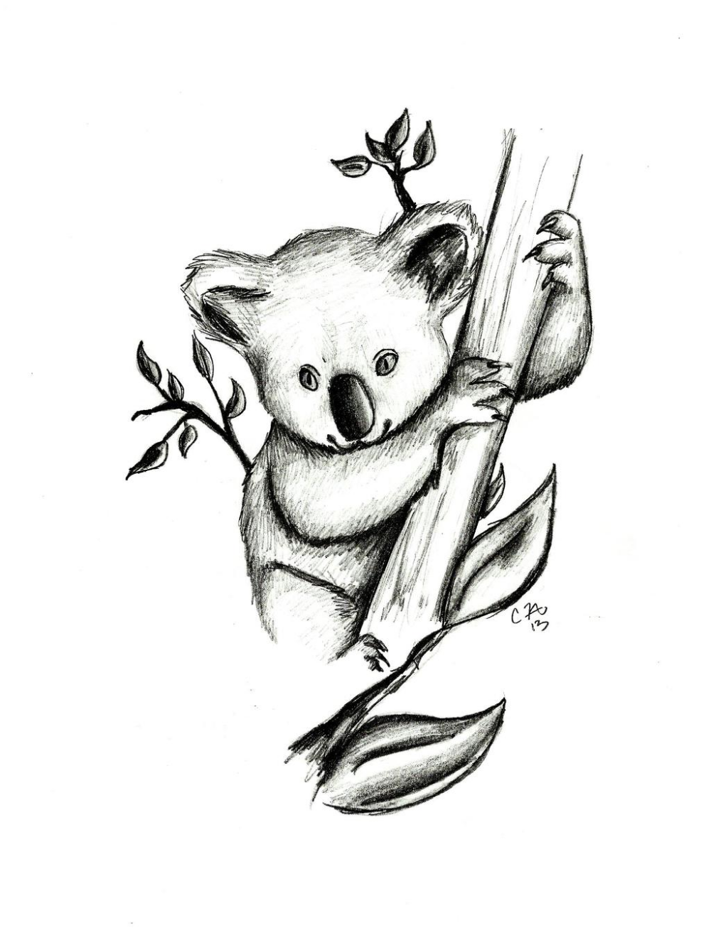 Koala Drawing Pic