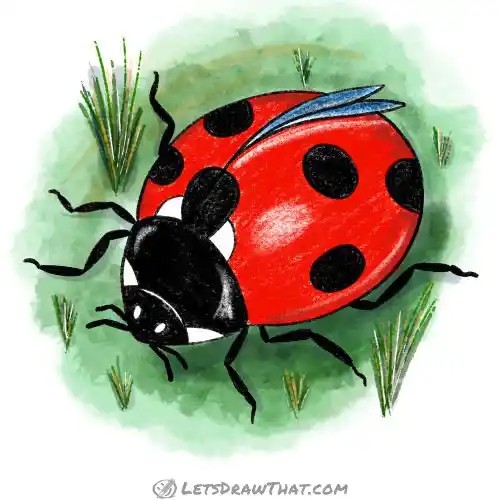 Ladybug Art Drawing