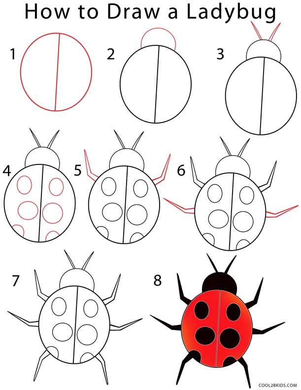 Ladybug Drawing Images