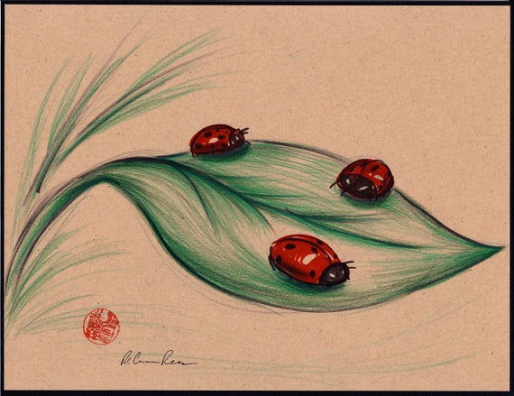 Ladybug Drawing Sketch