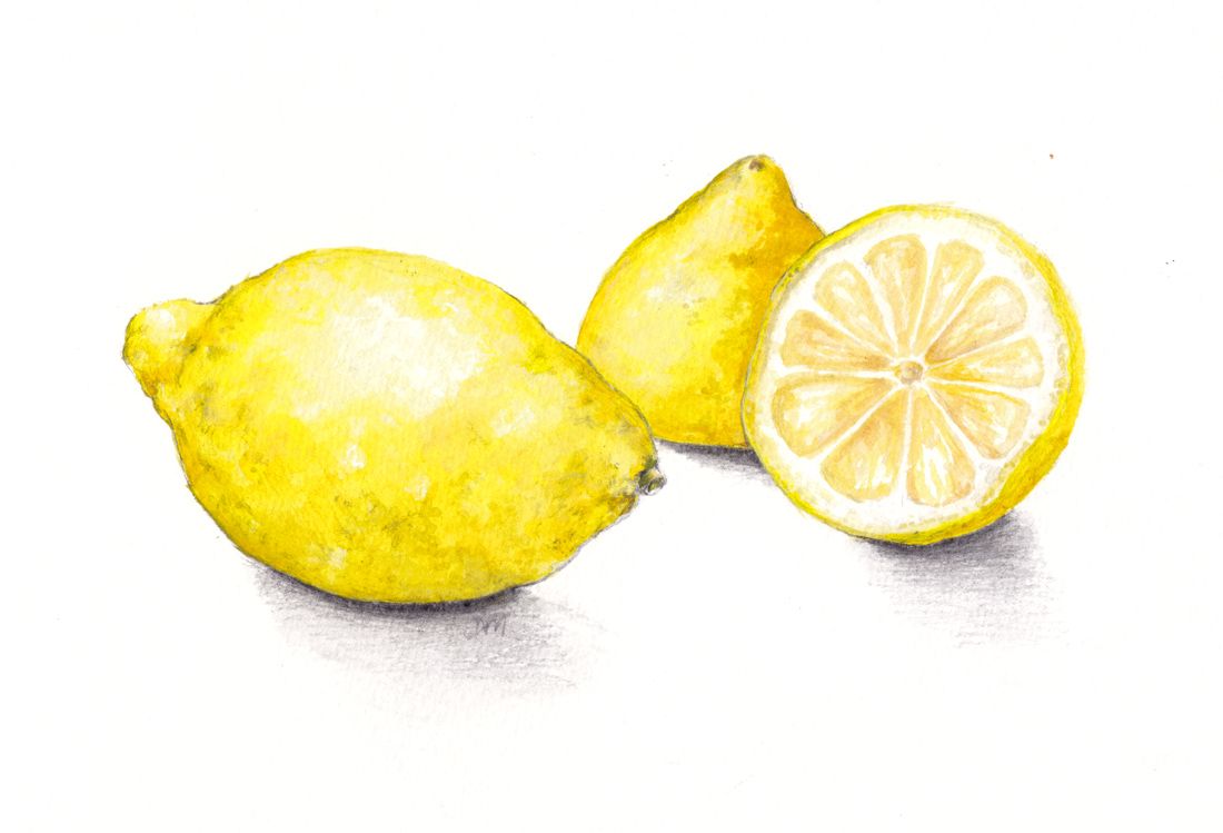 Lemon Drawing Beautiful Art