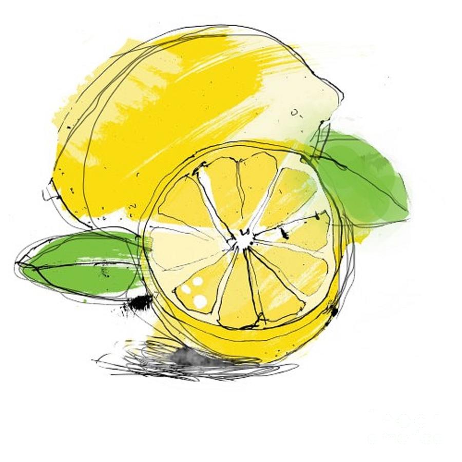 Lemon Drawing Images