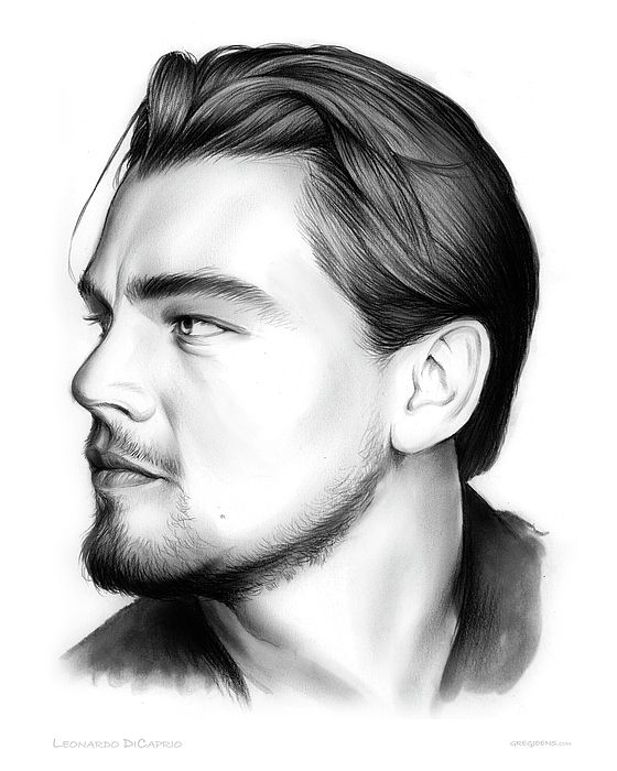 Leonardo DiCaprio Art Drawing